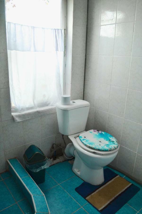 Guesthouse Bermet Tong Kültér fotó