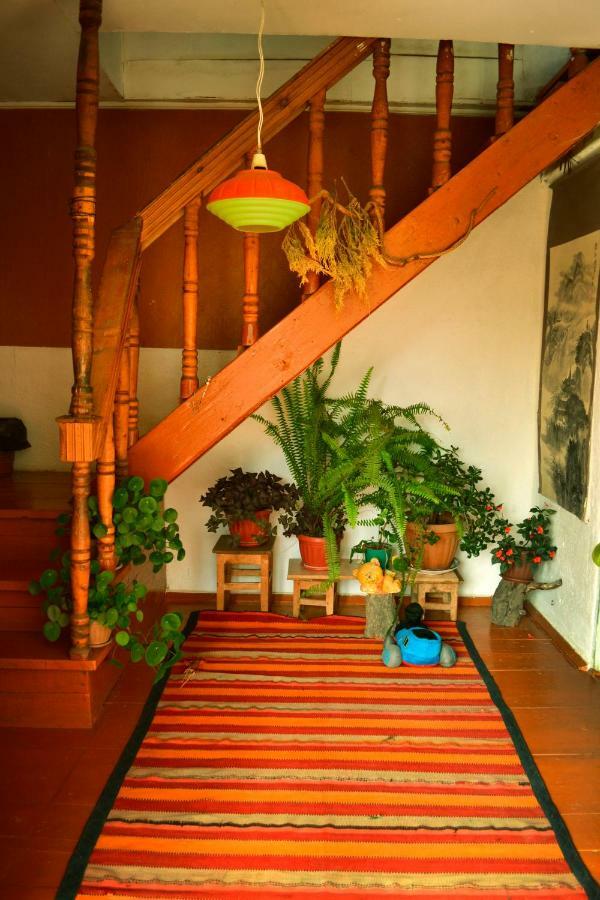 Guesthouse Bermet Tong Kültér fotó