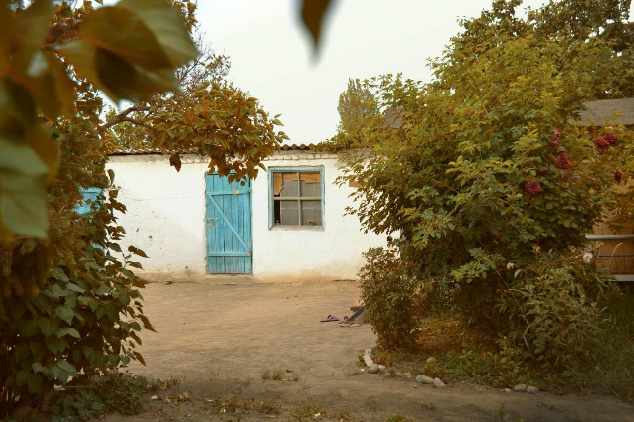 Guesthouse Bermet Tong Kültér fotó